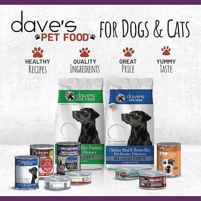 Dave's Pet Food Grain Free Wet Cat Food (Chicken & Duck Saucey Pate), Naturally Healthy Canned, Added Vitamins & Minerals, Wheat Free, 5.5 oz (24 Pack)