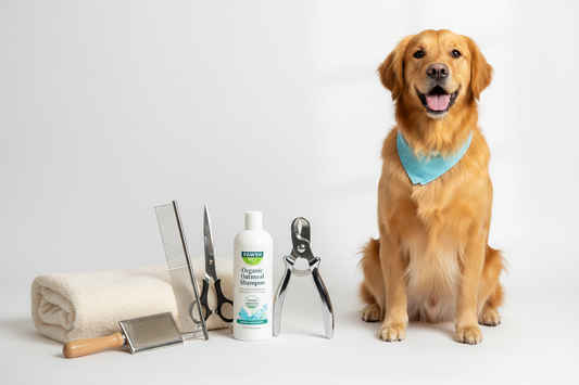 Best Dog Grooming Supplies for At-Home Care