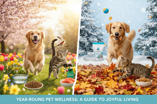 How to Keep Your Pet Healthy and Active All Year Round