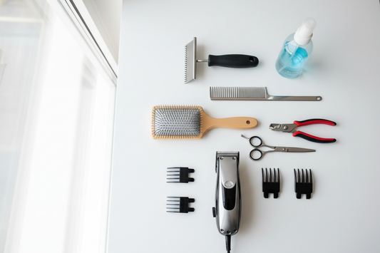 Top Dog Grooming Tools You Should Own