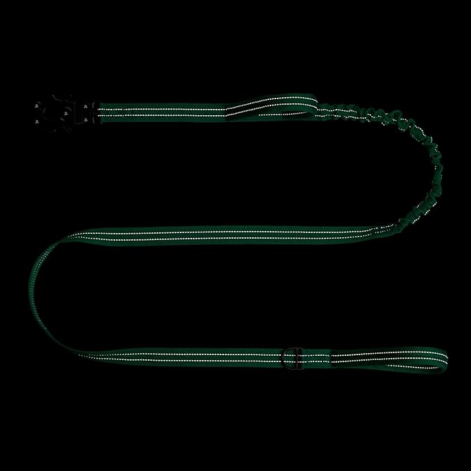 ICEFANG Tactical Dog Leash,K9 Training Walking Bungee Lead with 2 Control Handle,Heavy Duty Quick Release Metal Clasp,for Medium Large Breed (Teal, 6 FT)