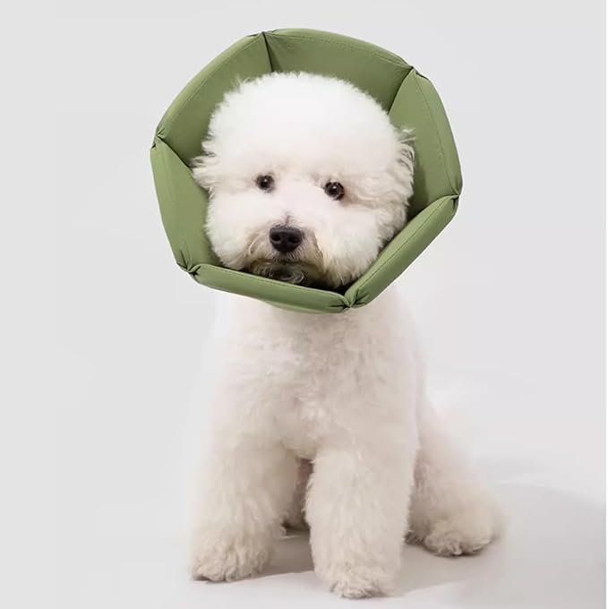 Cat Cone Collar - Soft Waterproof Elizabethan for Cats, Cute Green Flower Anti-Lick Recovery Collar, Adjustable Healing Collar for Wound Care & Surgery，M