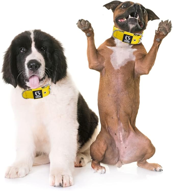 TSPRO Tactical Dog Collar 1.5 Inch Wide Thick Dog Collars with Heavy Duty Metal Buckle, Durable, Strong, Adjustable for Medium to Large Dogs (Yellow M)