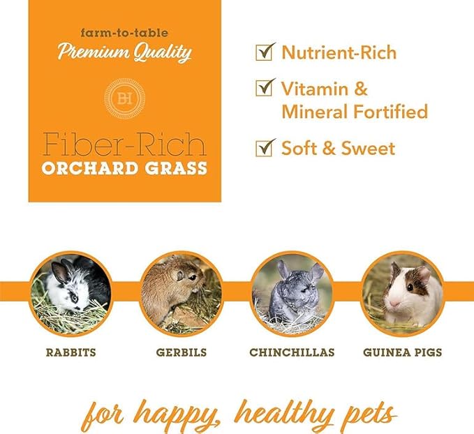 Bunny Honey Orchard Grass Hay for Guinea Pigs, Rabbits, Hamsters & Small Pets Fresh, High-Fiber, Supports Digestive Health & Dental Care, Non-Blended & Fresh Cut