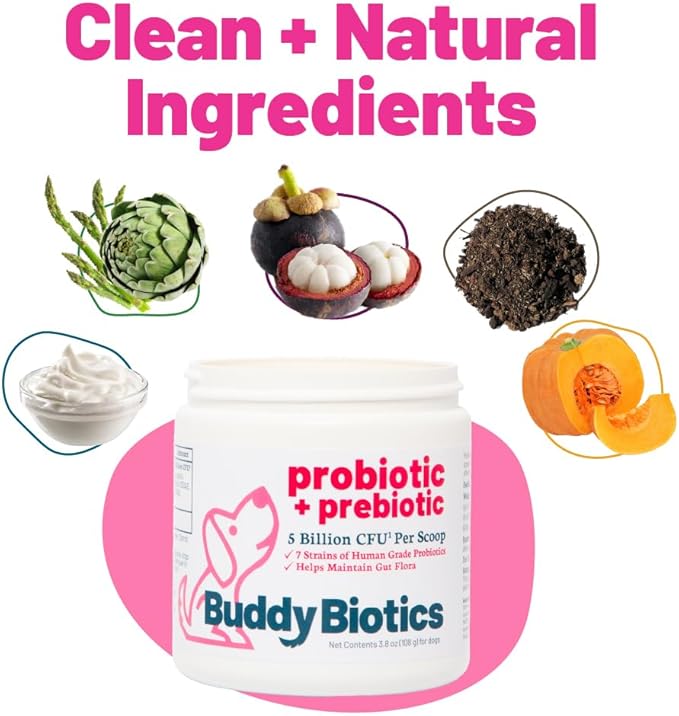 Buddy Biotics Probiotic + Prebiotic for Dogs- Gut Flora Health, Digestive and Immune Health, Diarrhea and Bowel Support – 5 Billion CFU per Scoop