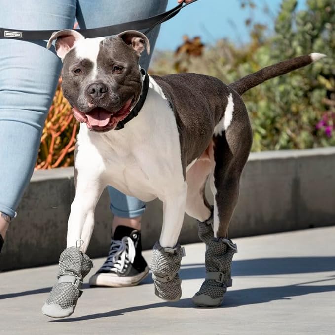 Canada Pooch Dog Boots for Hot Pavement - Dog Boots & Paw Protectors with Anti Slip Rubber | Water Friendly, Breathable Dog Shoes for Hot Days, Great for Dogs Grey - Size 2