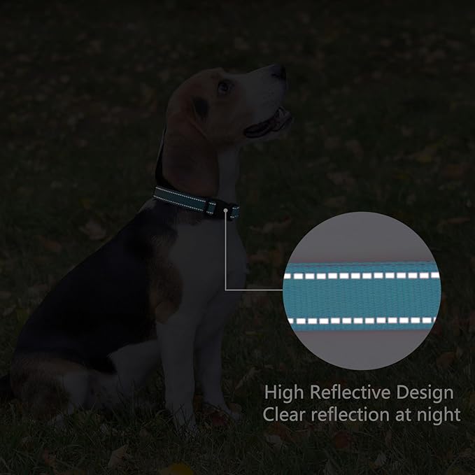 Reflective Dog Collar Padded with Soft Neoprene Breathable Quick Release Basic Dog Collars for Medium Dogs Sky Blue Boy