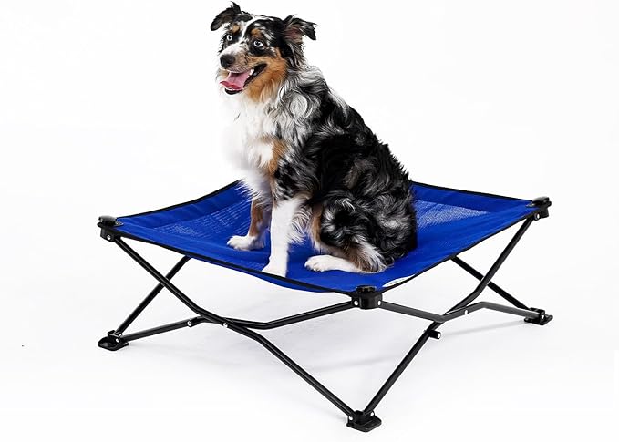 Coolaroo On-The-Go Elevated Dog Bed - Foldable Pop-Up Travel Dog Bed with Breathable, Moisture-Resistant Fabric, Carry Bag Included, Lightweight & Portable, Aquatic Blue, Medium