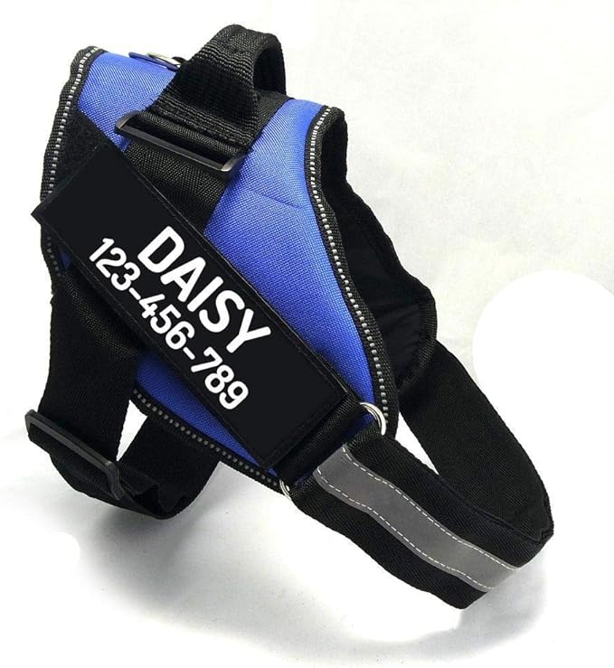 PawPawify Custom No Pull Dog Harness with Name and Phone Number, Heavy Duty Personalized Pet Vest to Prevent Tugging, Pulling, or Choking, Training and Walking (Blue, XS (5-9LBS))