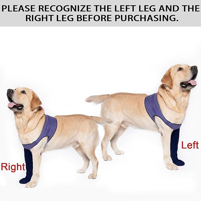 COODEO Dog Socks to Prevent Licking Paws, Healing Boots & Paw Protectors with Non-Slip Bottoms for Wound Protection, Waterproof Sleeve Shoes for Licking（Purple，XL_Left