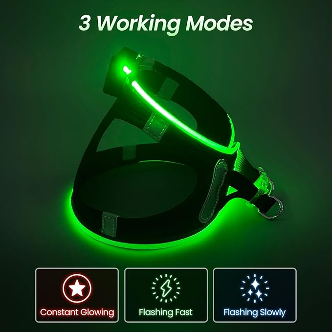 PceoTllar Light Up Dog Harness, LED No Pull Reflective Dog Harness, Flashing Lighted for Night Walking - Small/Medium, (Black Green,s)