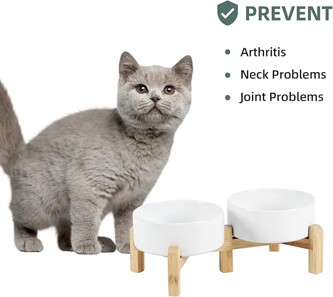 Ceramic Raised Double Bowls Set with Stand, 2 Heights Elevated, Food & Water Bowls for Small Breed Dogs, Cats, Kitty, Weighted Dog Dishes, Pet Bowls(5.1'',13.5oz, White)