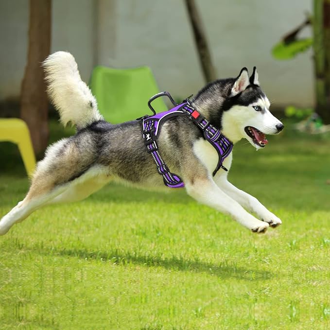 PoyPet No Pull Dog Harness, No Choke Front Clip Reflective Dog Vest with Soft Padded Vertical Handle, 3 Leash Attachments for Small Medium Large Dogs (Purple,S)
