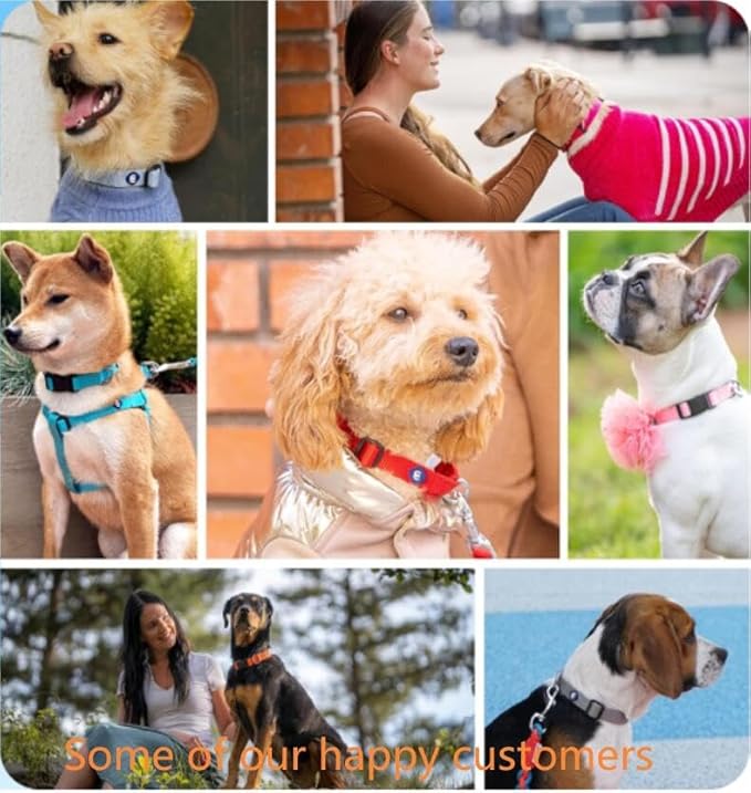 Blueberry Pet Essentials X-Small Dog Collar in Mint Blue | Adjustable & Eco-Friendly Durable Nylon Strap | Classic Collar for X-Small Dogs, Boy & Girl Pets