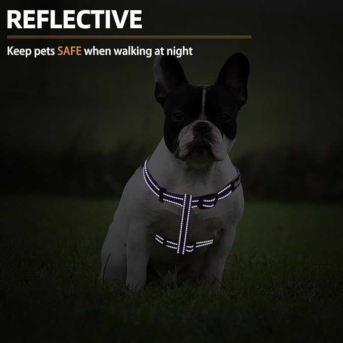 PUPTECK No Pull Dog Harness Soft Adjustable Basic Nylon Step in Puppy Vest Outdoor Walking with ID Tag, Reflecive Purple, S