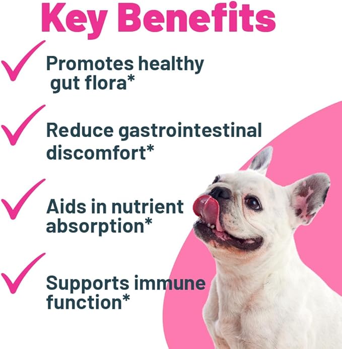 Buddy Biotics Probiotic + Prebiotic for Dogs- Gut Flora Health, Digestive and Immune Health, Diarrhea and Bowel Support – 5 Billion CFU per Scoop
