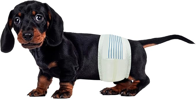 BV Dog Wraps Male Small (Waist 12-19in) Super Absorbent - 400 Count Disposable - Doggie Diapers with Wetness Indicator - Adjustable Male Dog Wraps - Ideal for Incontinence/Training