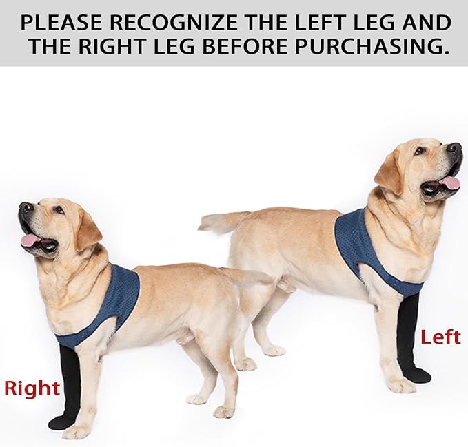 COODEO Dog Socks to Prevent Licking Paws, Healing Boots & Paw Protectors with Non-Slip Bottoms for Wound Protection, Waterproof Sleeve Shoes for Licking（Blue，3XL_Right