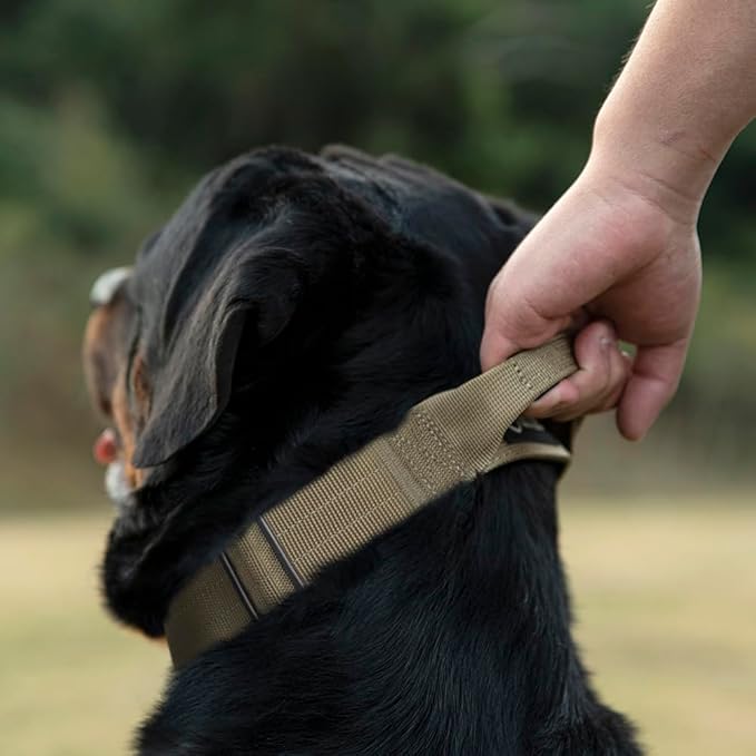 TSPRO Premium Dog Collars Tactical Dog Collar with Handle and Heavy Duty Quick-Release Metal Buckle Durable Thick and Adjustable for Medium to Large Dogs (Orange L)