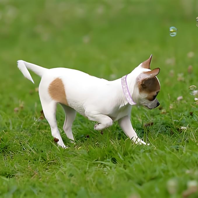 Rhinestone Dog Collar for Small Dogs, Bling Diamond Fancy Crystal Glitter Pretty Jewel Pet Puppy Collars for XXS XS Small Medium Large Breed Girl Dogs Female Cats Kitten, Colorful Pink S