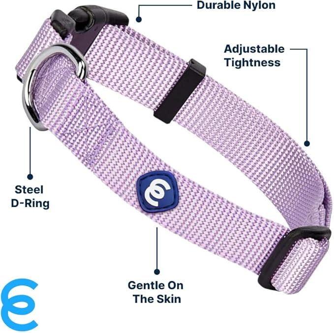 Blueberry Pet Essentials Small Dog Collar | Girl Dog Collars Fall | Female Dog Collar Small | Lavender Dog Collars for Small Dogs | Quick Release Dog Collar | Lavender Nylon Dog Collar