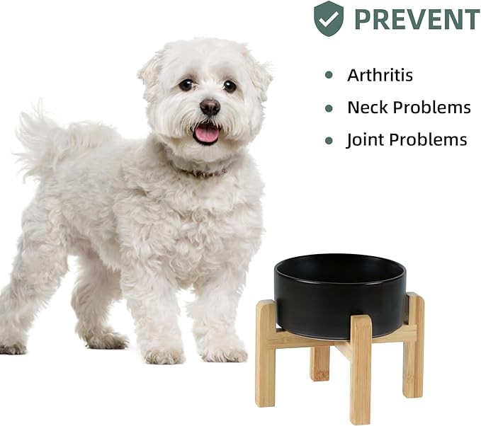 Ceramic Raised Dog and Cat Bowl Set, 2 Heights Elevated Stand, Food and Water Bowl for Small Breed Dogs, Weighted Dog Dishes, Pet Bowl(6.1'',28.7oz, Black)