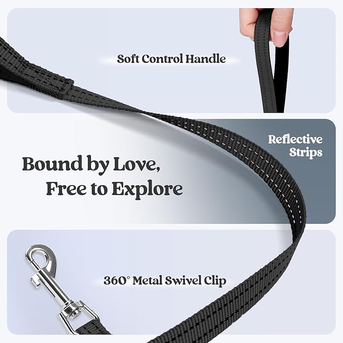 rabbitgoo Dog Harness Small Sized and Leash Set, Step in Soft Light Puppy Vest, Breathable Mesh Pet Harness, Reflective for Safe Easy Walking, Black XS