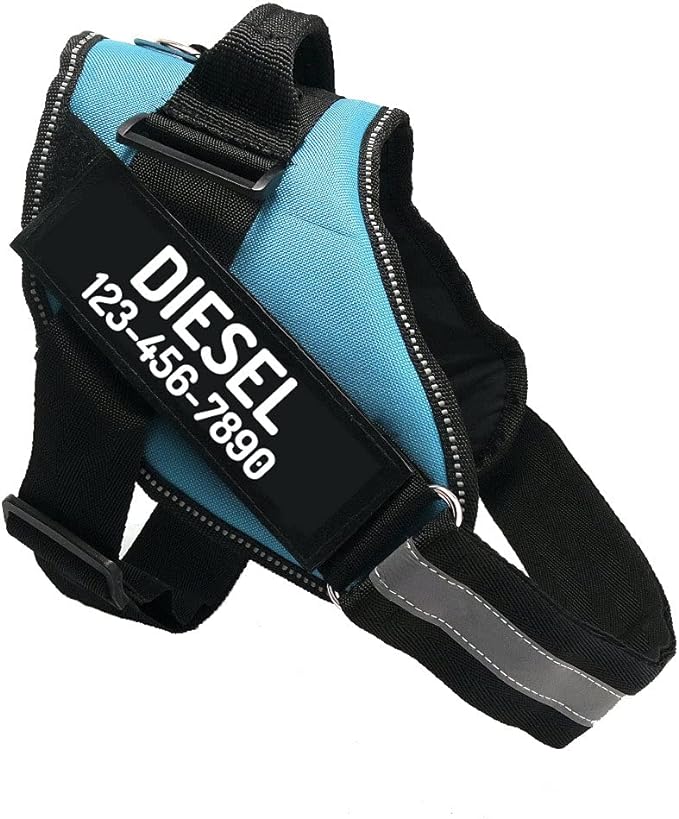 PawPawify Custom No Pull Dog Harness with Name and Phone Number, Heavy Duty Personalized Pet Vest to Prevent Tugging, Pulling, or Choking, Training and Walking (SkyBlue, XL (60-85 LBS))
