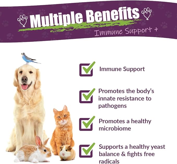 Amber NaturalZ Vibactra Plus Herbal Supplement for Dogs, Cats, Birds, Guinea Pigs, and Rabbits | Herbs for Immune Health and Yeast Balance | 4 Fluid Ounce Glass Bottle