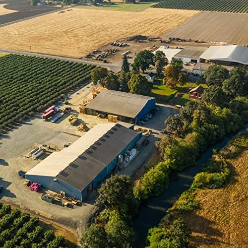 Blue Mountain Hay | Fresh Teff Grass Hay (15 Ounce) | Low NSC, High Fiber, Healthy Weight Management | High-Altitude Hay Pet Food for Rabbits, Guinea Pigs, Chinchillas, Hamsters, and Other Small Pets