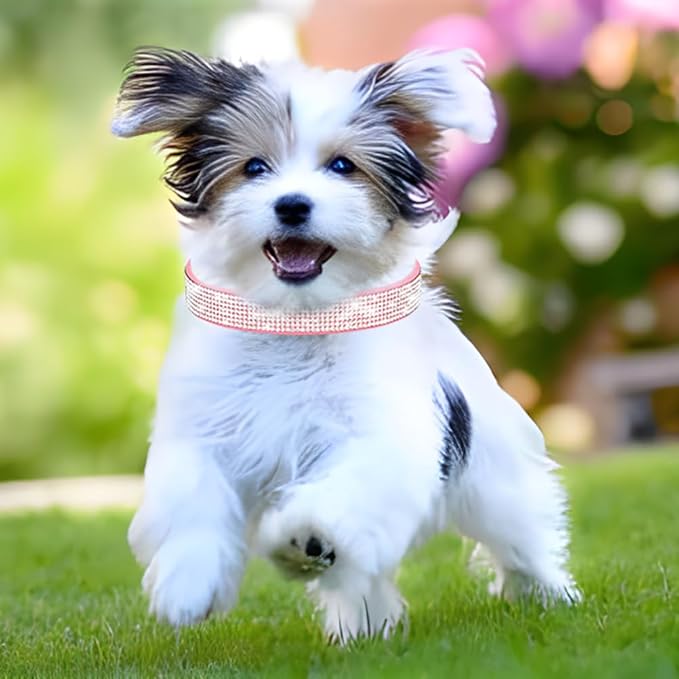 Rhinestone Dog Collar for Small Dogs, Bling Diamond Fancy Crystal Glitter Pretty Jewel Pet Puppy Collars for XXS XS Small Medium Large Breed Girl Dogs Female Cats Kitten, Colorful Pink XXSmall