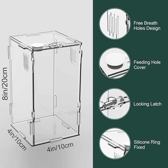 BETAZOOER Acrylic Mini Reptile Tank Habitat Transparent Terrariums with Locking Latch Suitable for Tarantula Isopod Roach Invertebrates (4''x4''x8'')