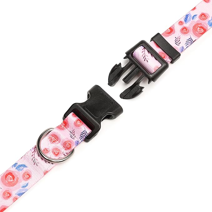 Mercano Adjustable Dog Collar - Special Design Patterns, Soft Nylon Comfortable Durable Pet Collar for Small Medium Large Dogs (XS, Rose)
