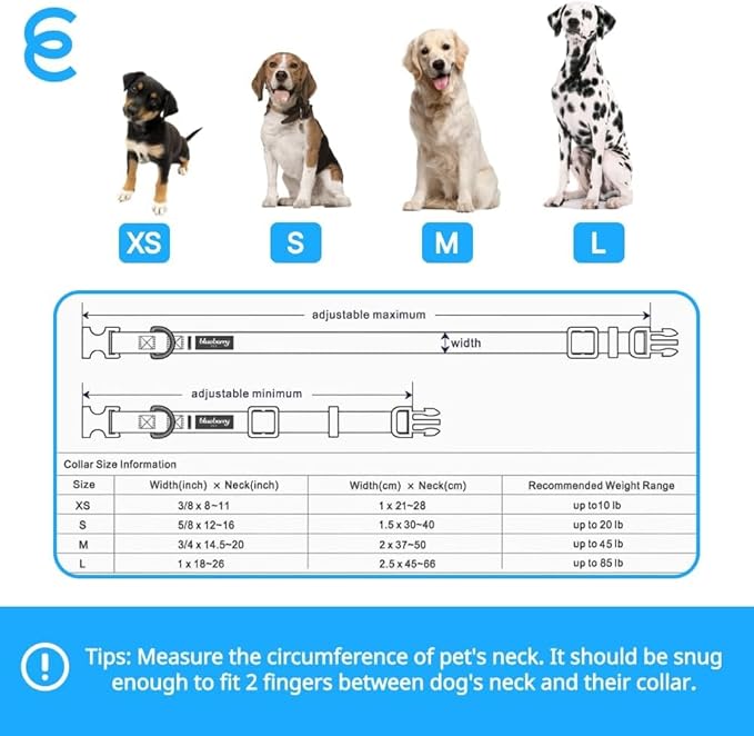 Blueberry Pet Essentials Large Dog Collar in Turquoise | Adjustable & Eco-Friendly Durable Nylon Strap | Classic Collar for Large Dogs, Boy & Girl Pets