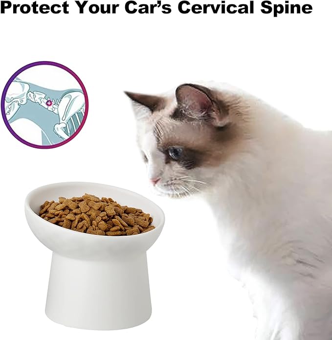 Ceramic Raised Cat Bowls, Elevated Tilted Cat Food and Water Bowls Set, Porcelain Stress Free Pet Feeder Dish for Cats and Small Dogs, Dishwasher and Microwave Safe, Set of 2(White)