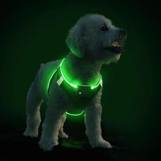 PceoTllar Light Up Dog Harness, LED No Pull Reflective Dog Harness, Flashing Lighted for Night Walking - Small/Medium, (Black Green,s)