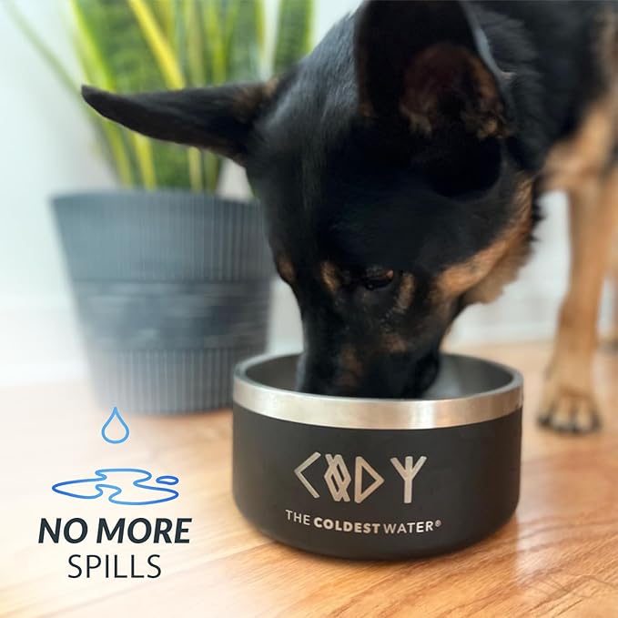 Coldest Dog Bowl - Anti Rust Metal, Non Slip, 3 Layers Insulated Stainless Steel Dog Bowls - Spill Proof & Heavy Duty - Water Bowl for Dogs, Cats, Dish Washer Safe (42 oz, Saturns Purple Glitter)