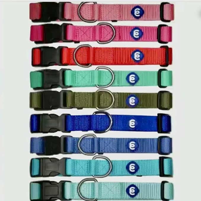 Blueberry Pet Essentials Small Dog Collar in Royal Blue | Adjustable & Eco-Friendly Durable Nylon Strap | Classic Collar for Small Dogs, Boy & Girl Pets