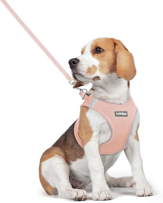 rabbitgoo Dog Harness Small Medium Sized and Leash Set, Step in Soft Light Puppy Vest, Breathable Mesh Pet Harness, Reflective for Safe Outdoor Walking, Pink L