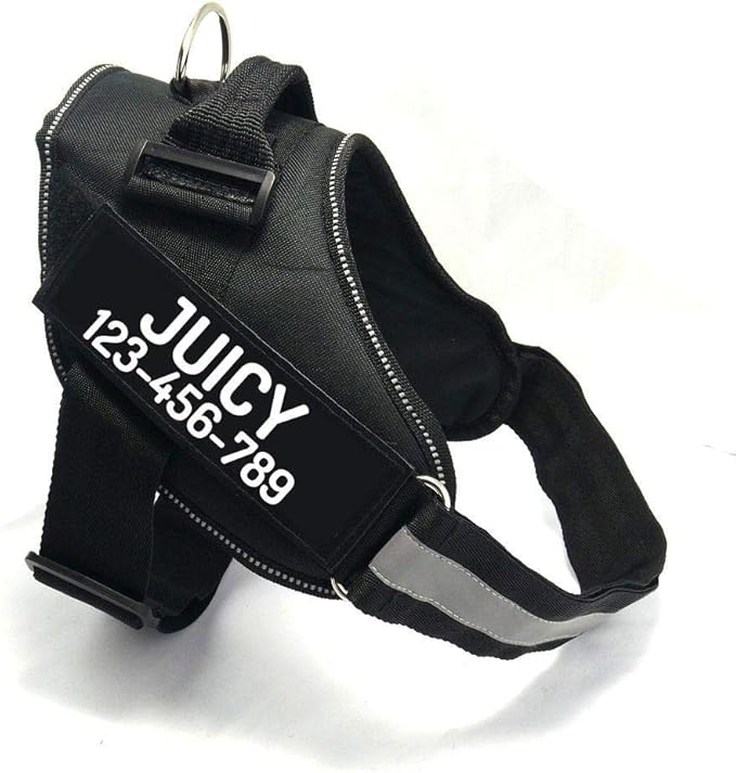 PawPawify Custom No Pull Dog Harness with Name and Phone Number, Heavy Duty Personalized Pet Vest to Prevent Tugging, Pulling, or Choking, Training and Walking (Black, L (40-60 LBS))