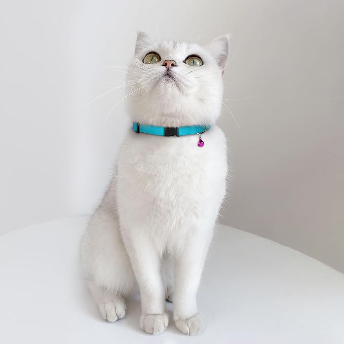 Breakaway Cat Collar Leather with Removable Bell - 13 Colors Available - Soft Adjustable Girl Boy Safety Lightweight Pet Kitten Collars Pink Brown Blue Green Red Orange Black (Blue)