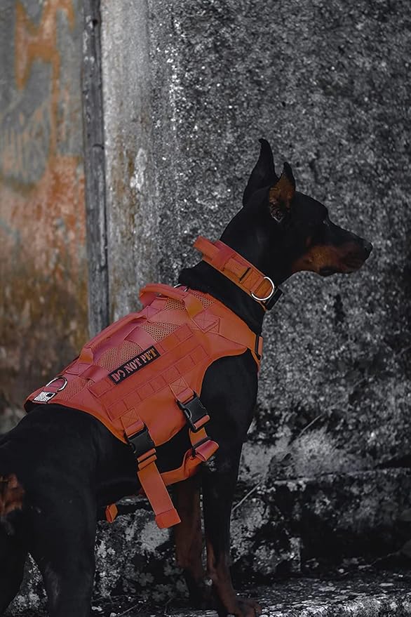 OneTigris No Pull Tactical Dog Harness for Large Dog, Mesh Design Breathable Service Dog Vest with Handle, Military Dog Vest Harness with Molle Panels for Walking Hiking Training (Orange, Large)