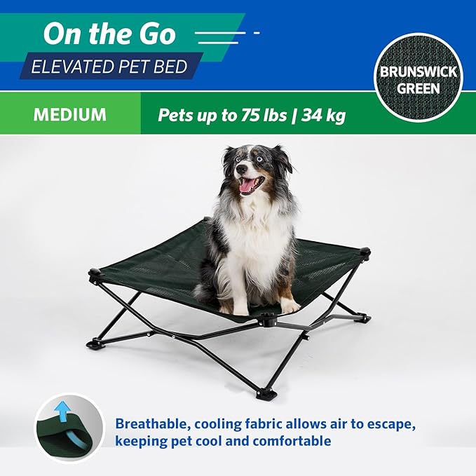 Coolaroo On-The-Go Elevated Dog Bed - Foldable Pop-Up Travel Dog Bed with Breathable, Moisture-Resistant Fabric, Carry Bag Included, Lightweight & Portable, Brunswick Green, Medium