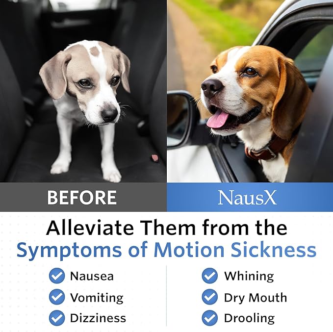 Anti-Motion Sickness and Nausea Relief for Medium Breed Dogs, Relief for Disorientation and Dizziness, 20 Tablets