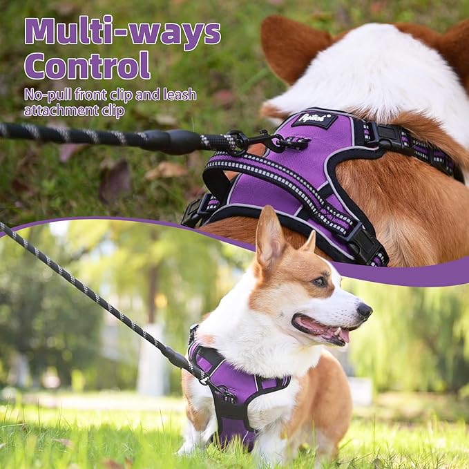 PUPTECK No Pull Dog Harness Medium Sized, Adjustable Reflective Dog Harness with Handle Easy Control, Comfortable Soft Padded Pet Vest Harness for Medium Dogs, Solid Purple M