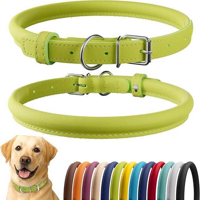 CollarDirect Rolled Leather Dog Collar, Soft Padded Round Puppy Collar, Handmade Genuine Leather Collar Dog Small Large Cat Collars 13 Colors (18-22 Inch, Lime Green Smooth)