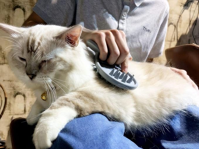 Cat Brush Shedding Grooming, Soft Massage Cat Tongue Brush, Licking Your Cat Like a Mama Cat to Comfort, Surprise Pet Gifts