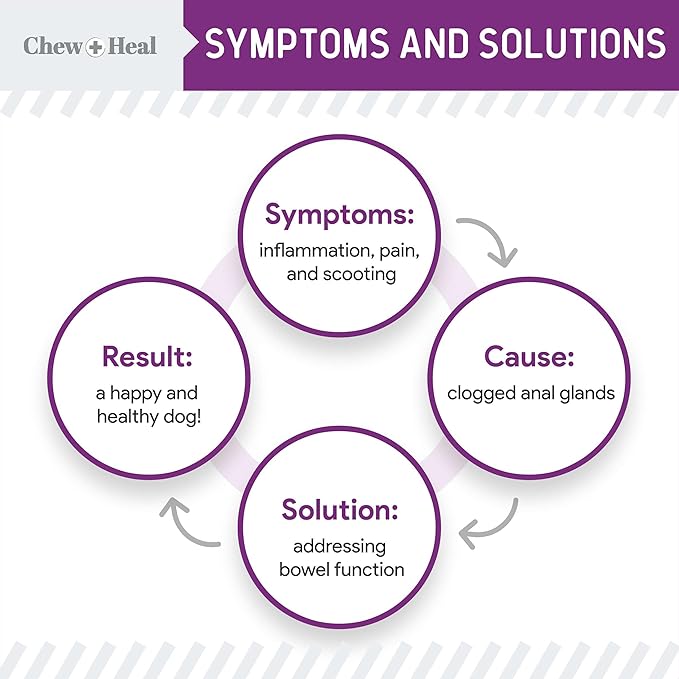 Chew + Heal Labs Glands Bowel Support - 5.4 oz of Stop The Scoot Powder for Scooting, Healthy Anal Glands, and Digestive Health - Made with Pumpkin Powder for Dogs