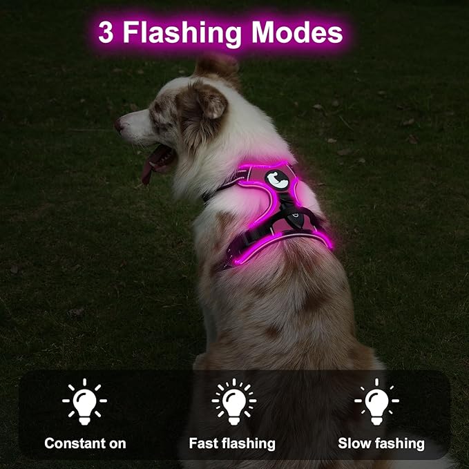 Taglory Light Up Dog Harness, Rechargeable No Pull Dog Vest with 3 Lightning Modes, Reflective Dog Harness with 2 Leash Clips & 4 Adjustable Slide Strips for Large Dogs, Hotpink-Hotpink, L