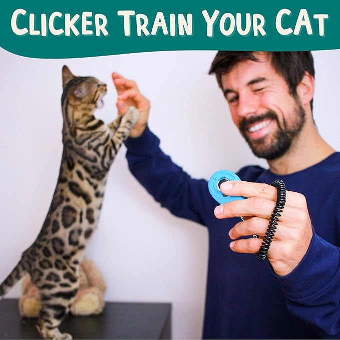 The Click Crusade (Cat Training Card Game Guide to Clicker Training for Cats for Teaching Tricks, Improving Communication and Bonding with Your Kitten (Clicker not Included)